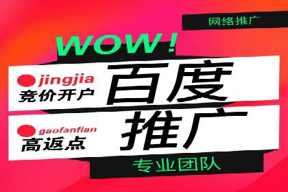 SEM竞价代运营：案例展示数据分析与应用